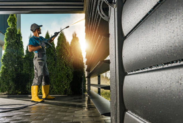 Best Solar Panel Cleaning  in East Flat Rock, NC
